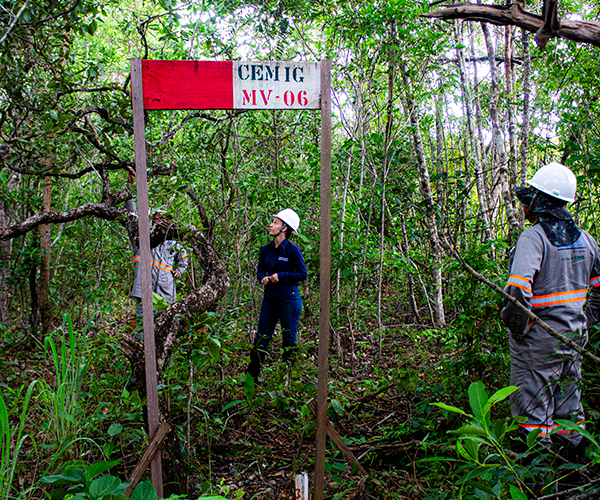 Licenciamento Ambiental