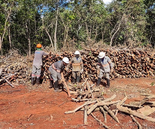 Supervisão Ambiental